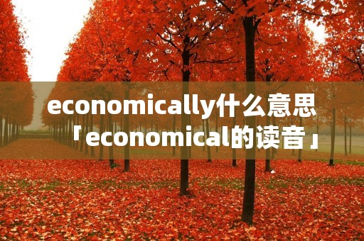 economically什么意思「economical的读音」