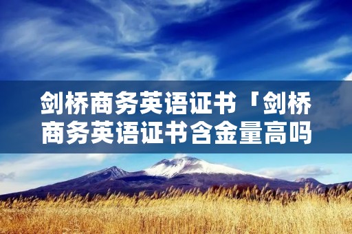 剑桥商务英语证书「剑桥商务英语证书含金量高吗」