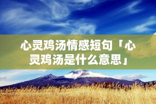 心灵鸡汤情感短句「心灵鸡汤是什么意思」