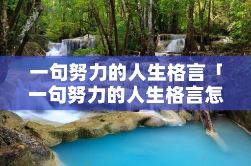 一句努力的人生格言「一句努力的人生格言怎么写」