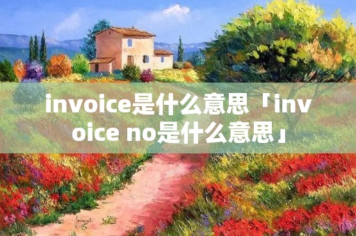 invoice是什么意思「invoice no是什么意思」