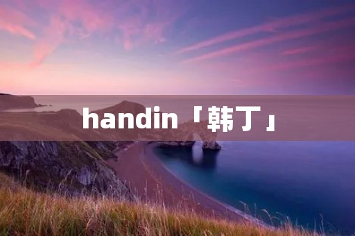 handin「韩丁」