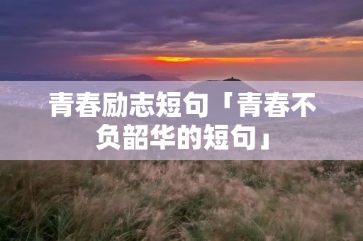 青春励志短句「青春不负韶华的短句」