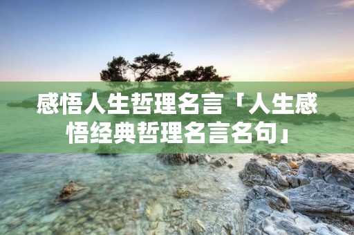 感悟人生哲理名言「人生感悟经典哲理名言名句」