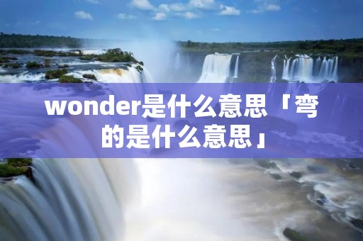 wonder是什么意思「弯的是什么意思」