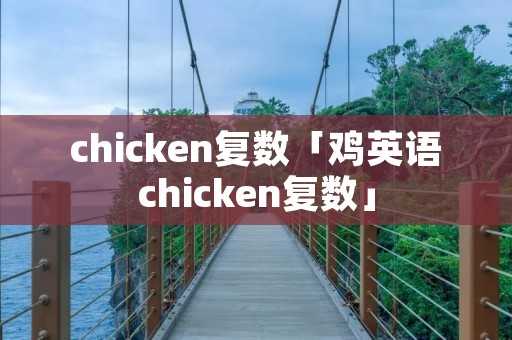 chicken复数「鸡英语chicken复数」