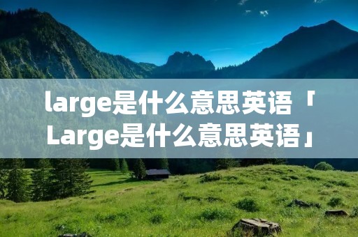 large是什么意思英语「Large是什么意思英语」