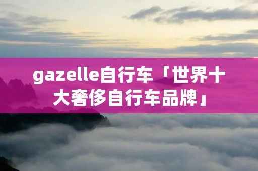 gazelle自行车「世界十大奢侈自行车品牌」