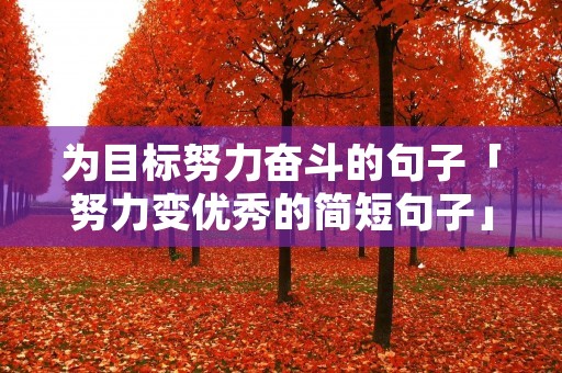 为目标努力奋斗的句子「努力变优秀的简短句子」