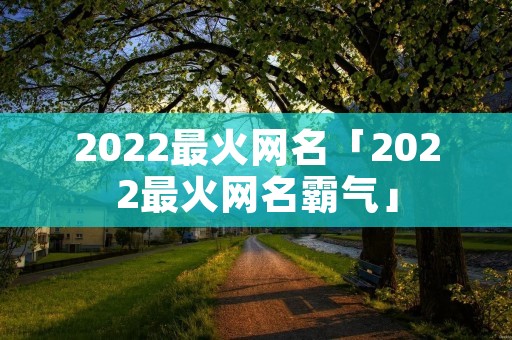 2022最火网名「2022最火网名霸气」