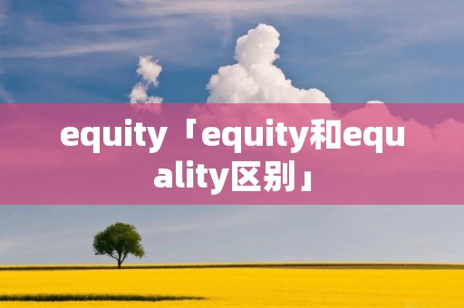 equity「equity和equality区别」