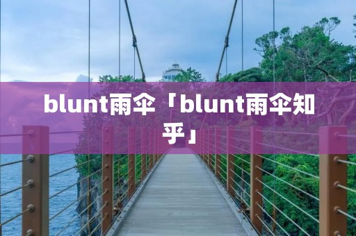 blunt雨伞「blunt雨伞知乎」