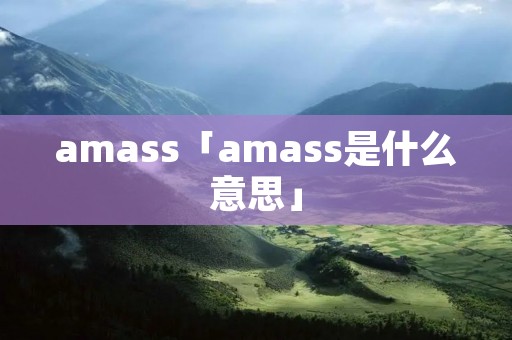 amass「amass是什么意思」