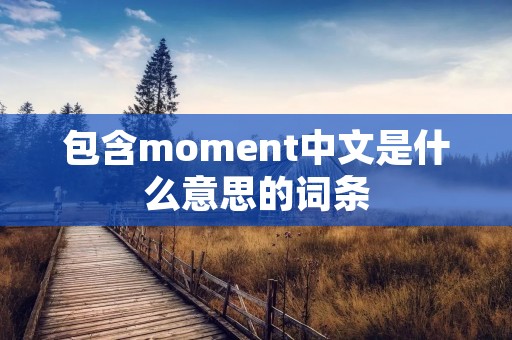 包含moment中文是什么意思的词条 包含moment中文是什么意思的词条