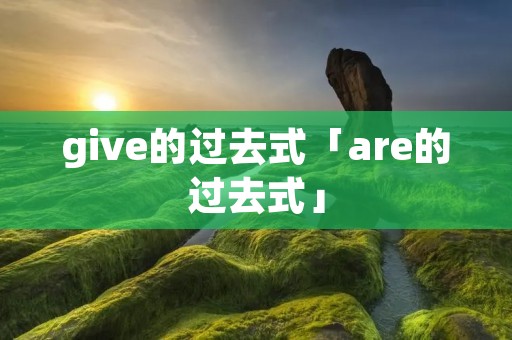 give的过去式「are的过去式」