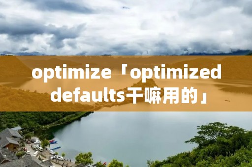 optimize「optimized defaults干嘛用的」