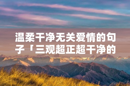 温柔干净无关爱情的句子「三观超正超干净的文案」