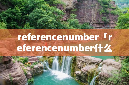 referencenumber「referencenumber什么意思」