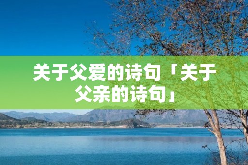 关于父爱的诗句「关于父亲的诗句」