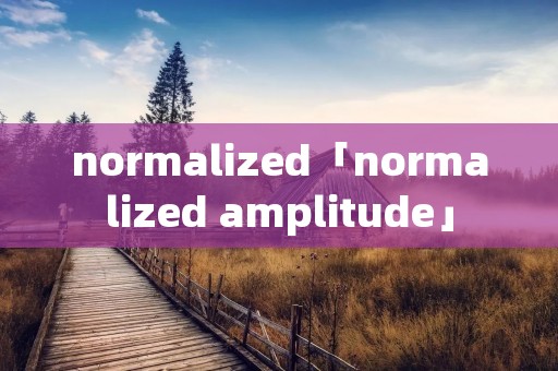 normalized「normalized amplitude」