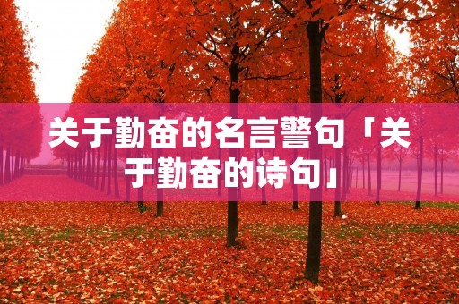 关于勤奋的名言警句「关于勤奋的诗句」