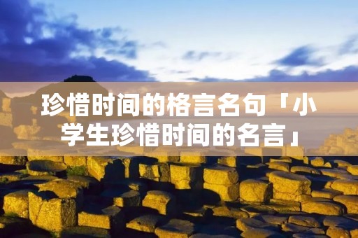 珍惜时间的格言名句「小学生珍惜时间的名言」