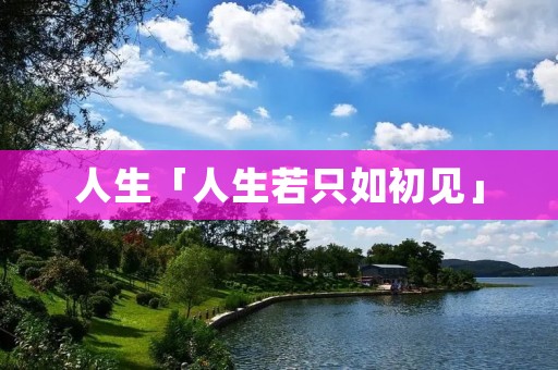 人生「人生若只如初见」