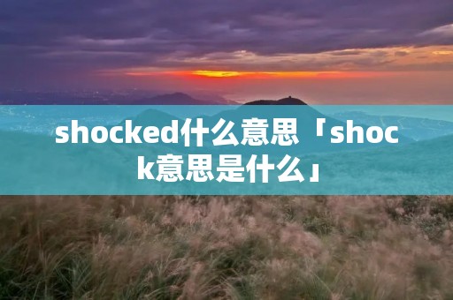 shocked什么意思「shock意思是什么」