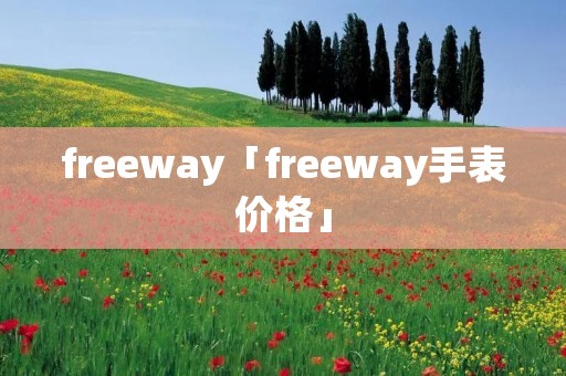 freeway「freeway手表价格」