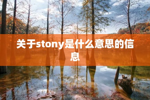 关于stony是什么意思的信息 关于stony是什么意思的信息