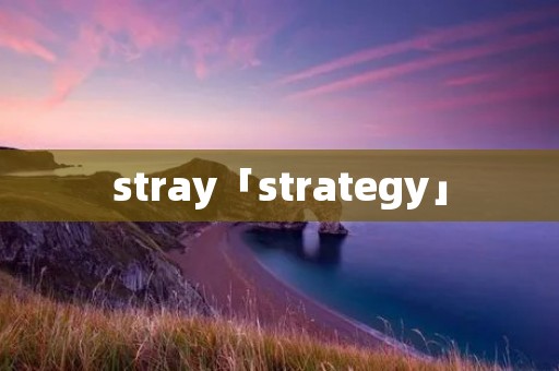 stray「strategy」
