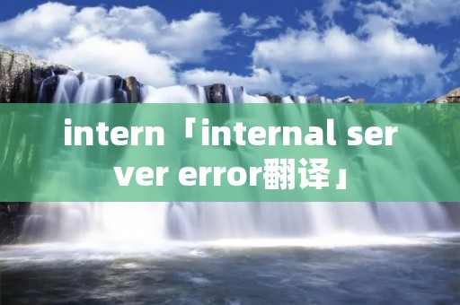 intern「internal server error翻译」