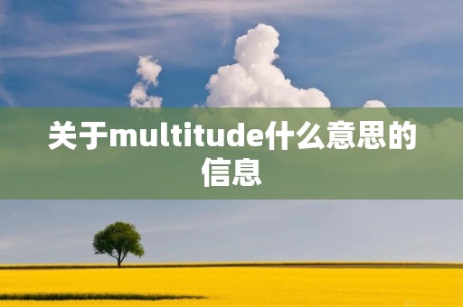 关于multitude什么意思的信息
