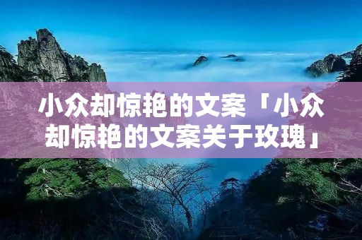 小众却惊艳的文案「小众却惊艳的文案关于玫瑰」