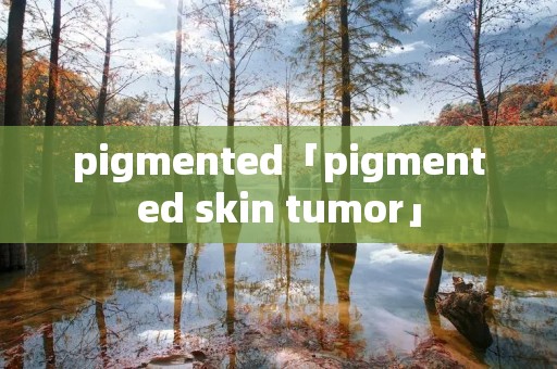 pigmented「pigmented skin tumor」 pigmented「pigmented skin tumor」