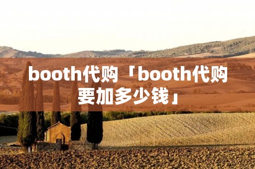 booth代购「booth代购要加多少钱」