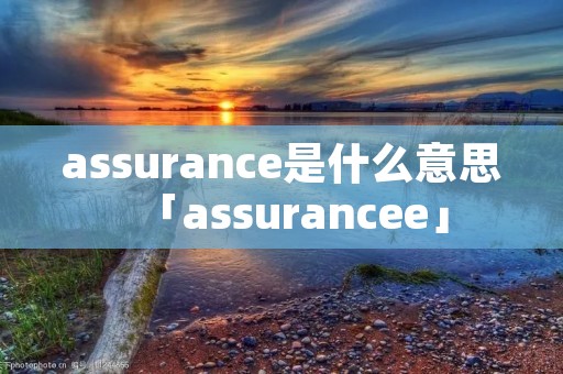 assurance是什么意思「assurancee」 assurance是什么意思「assurancee」