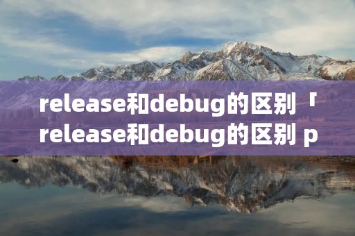 release和debug的区别「release和debug的区别 python」