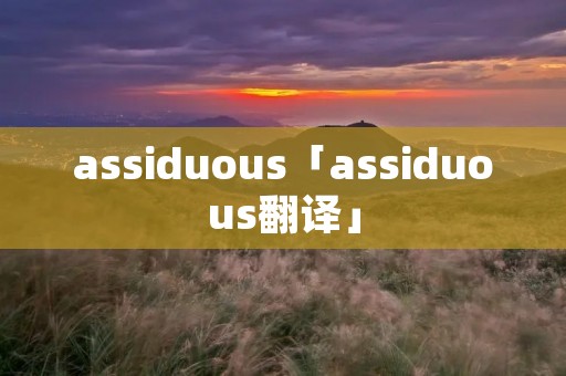 assiduous「assiduous翻译」