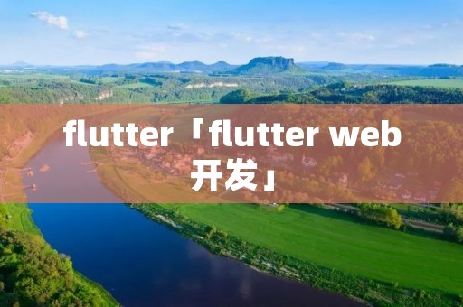 flutter「flutter web开发」
