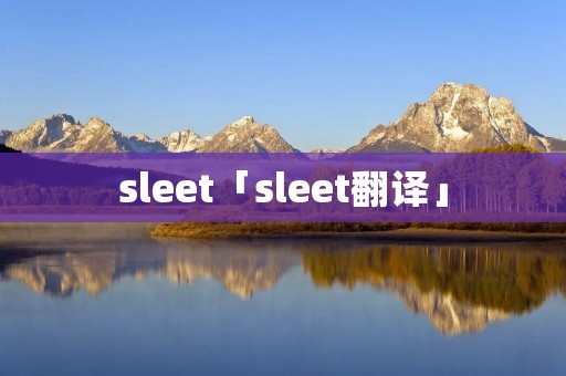 sleet「sleet翻译」