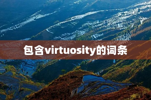 包含virtuosity的词条