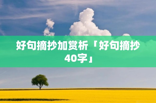 好句摘抄加赏析「好句摘抄40字」