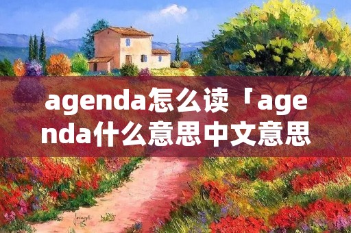 agenda怎么读「agenda什么意思中文意思」