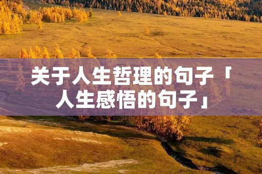 关于人生哲理的句子「人生感悟的句子」