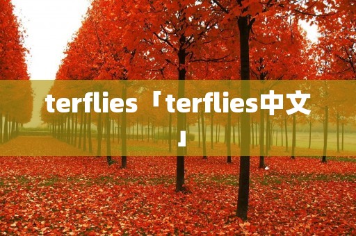 terflies「terflies中文」