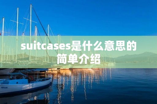 suitcases是什么意思的简单介绍
