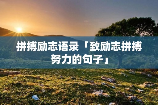 拼搏励志语录「致励志拼搏努力的句子」