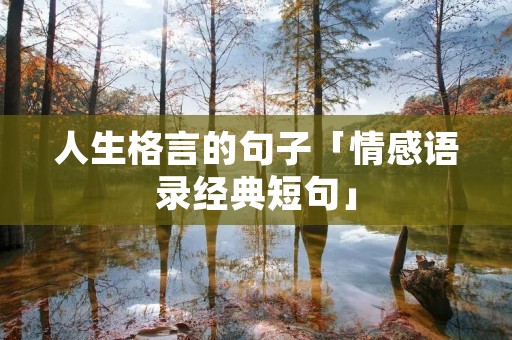人生格言的句子「情感语录经典短句」