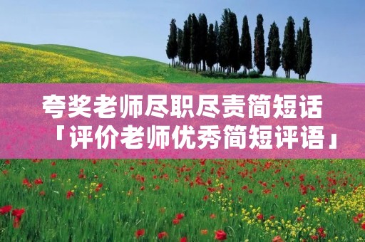 夸奖老师尽职尽责简短话「评价老师优秀简短评语」